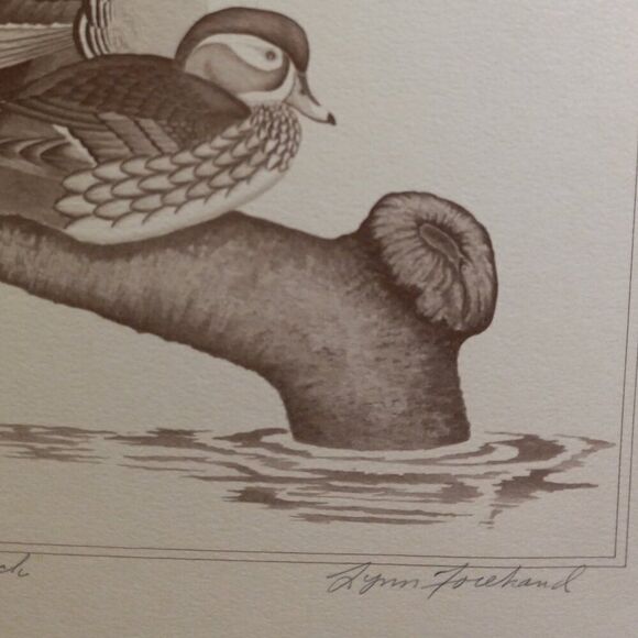 Vintage American Waterfowl Etching/Print Lynn Forehand 5 of 5 Cottagecor… - Picture 4 of 7